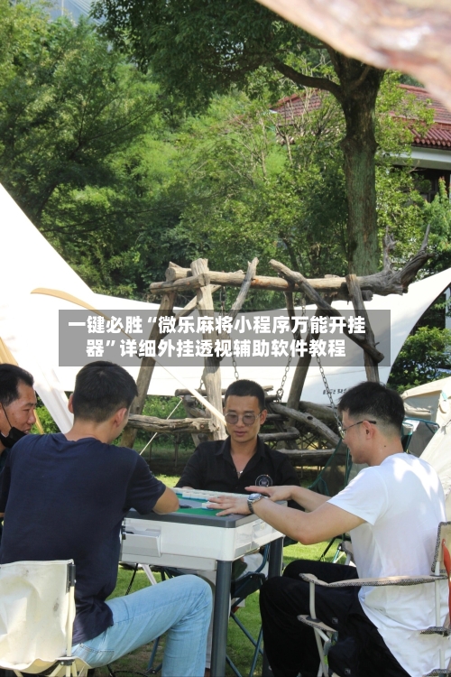 一键必胜“微乐麻将小程序万能开挂器”详细外挂透视辅助软件教程-第1张图片