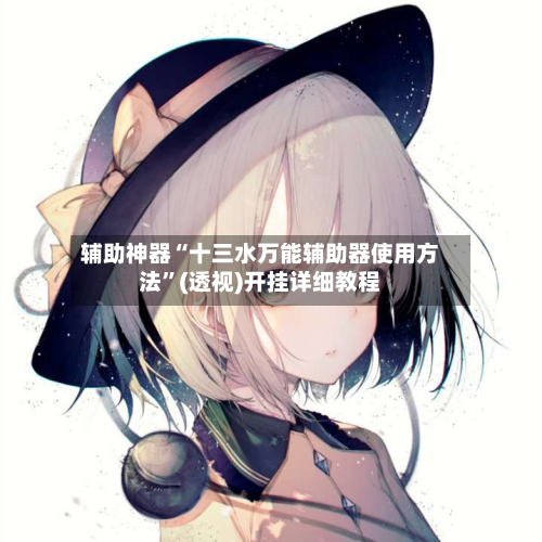 辅助神器“十三水万能辅助器使用方法”(透视)开挂详细教程-第3张图片