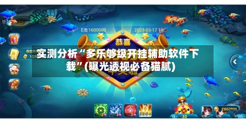 实测分析“多乐够级开挂辅助软件下载”(曝光透视必备猫腻)-第1张图片