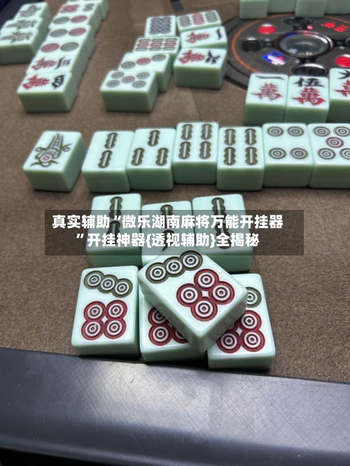 真实辅助“微乐湖南麻将万能开挂器”开挂神器{透视辅助}全揭秘-第2张图片