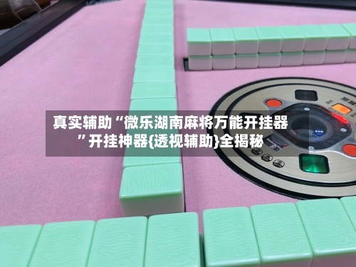 真实辅助“微乐湖南麻将万能开挂器”开挂神器{透视辅助}全揭秘-第3张图片