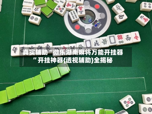 真实辅助“微乐湖南麻将万能开挂器	”开挂神器{透视辅助}全揭秘-第1张图片
