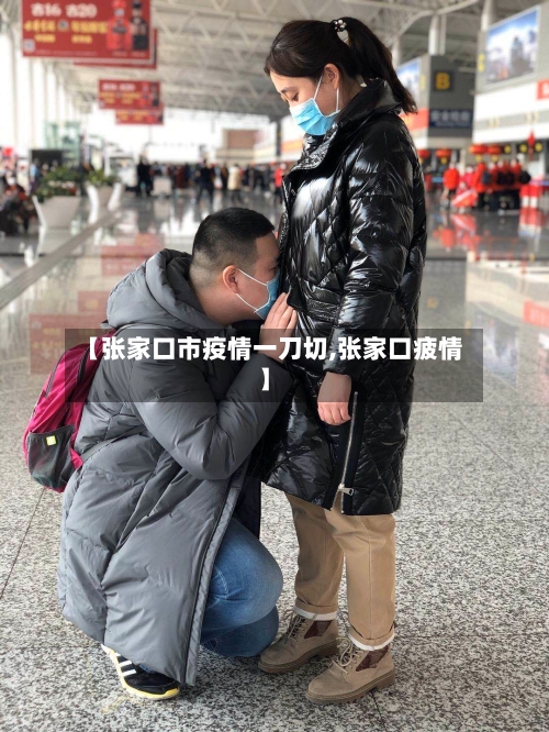 【张家口市疫情一刀切,张家口疲情】-第3张图片