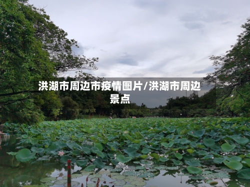洪湖市周边市疫情图片/洪湖市周边景点-第1张图片