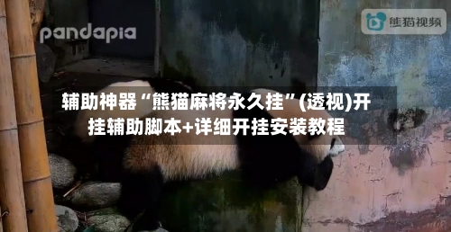 辅助神器“熊猫麻将永久挂	”(透视)开挂辅助脚本+详细开挂安装教程-第1张图片