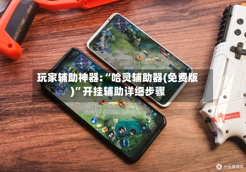 玩家辅助神器:“哈灵辅助器(免费版)”开挂辅助详细步骤-第1张图片