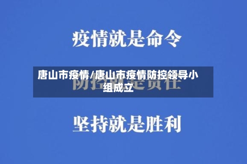 唐山市疫情/唐山市疫情防控领导小组成立-第2张图片