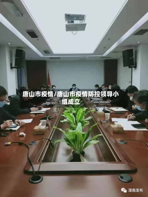 唐山市疫情/唐山市疫情防控领导小组成立-第3张图片