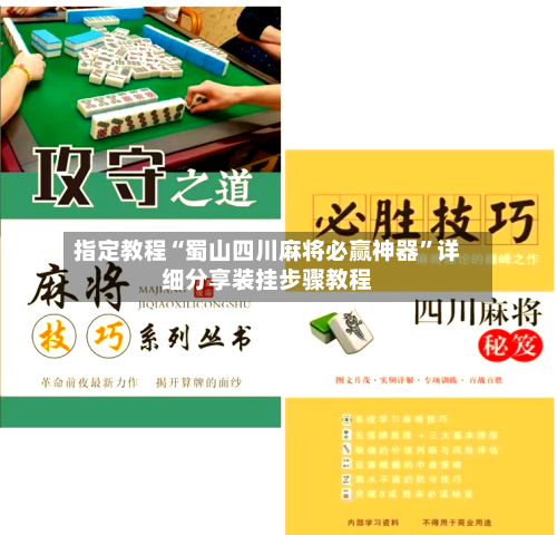 指定教程“蜀山四川麻将必赢神器	”详细分享装挂步骤教程-第2张图片