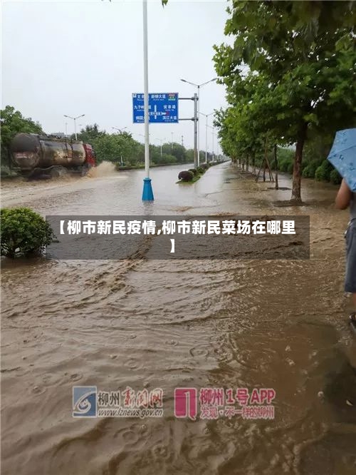 【柳市新民疫情,柳市新民菜场在哪里】-第2张图片