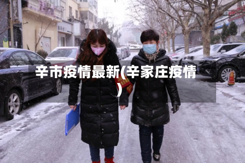 辛市疫情最新(辛家庄疫情)-第1张图片