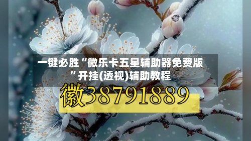 一键必胜“微乐卡五星辅助器免费版”开挂(透视)辅助教程-第1张图片