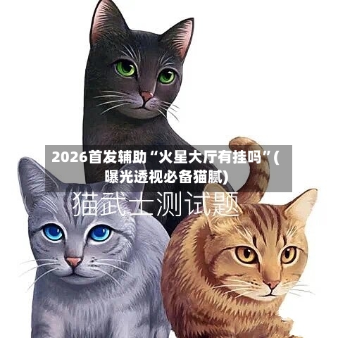2026首发辅助“火星大厅有挂吗	”(曝光透视必备猫腻)-第2张图片