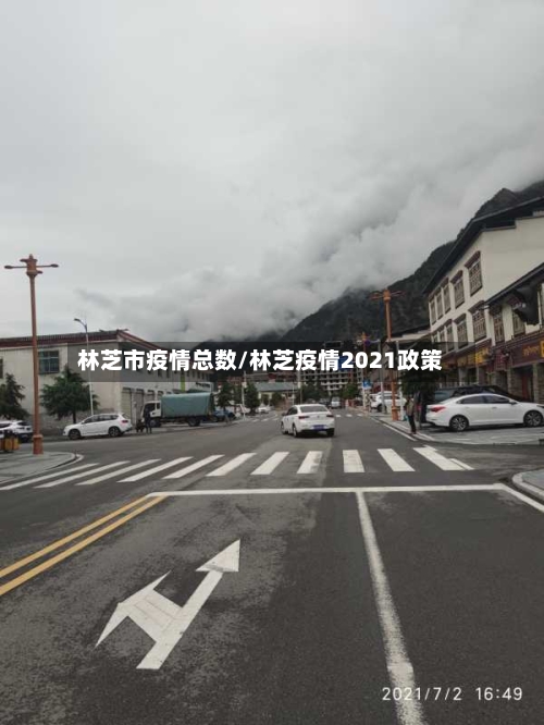 林芝市疫情总数/林芝疫情2021政策-第2张图片