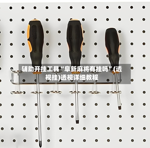 辅助开挂工具“阜新麻将有挂吗	”(透视挂)透视详细教程-第1张图片