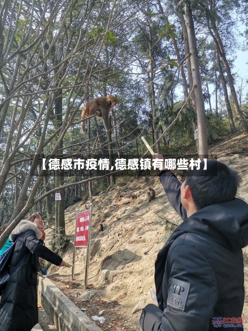 【德感市疫情,德感镇有哪些村】-第1张图片