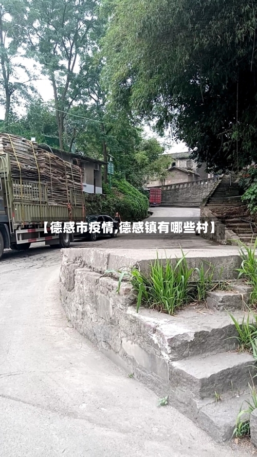 【德感市疫情,德感镇有哪些村】-第2张图片
