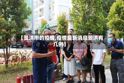 【景洪市的疫情,疫情最新消息景洪有几例】-第1张图片