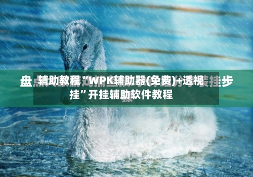 辅助教程“WPK辅助器(免费)+透视挂”开挂辅助软件教程-第2张图片