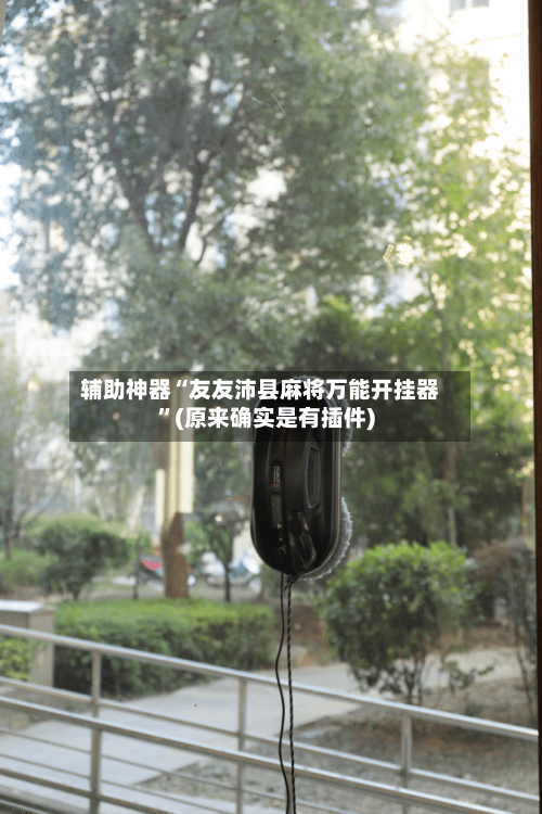 辅助神器“友友沛县麻将万能开挂器	”(原来确实是有插件)-第1张图片