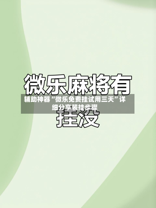 辅助神器“微乐免费挂试用三天”详细分享装挂步骤-第2张图片