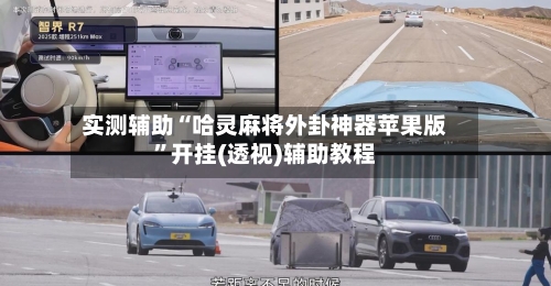 实测辅助“哈灵麻将外卦神器苹果版	”开挂(透视)辅助教程-第2张图片