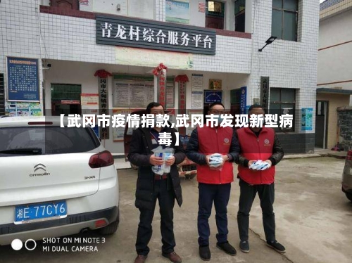 【武冈市疫情捐款,武冈市发现新型病毒】-第1张图片