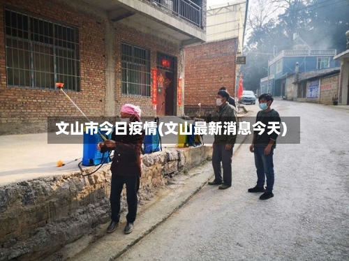 文山市今日疫情(文山最新消息今天)-第1张图片