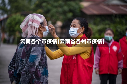 云南各个市疫情(云南省各州市疫情)-第3张图片
