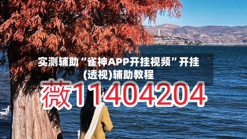 实测辅助“雀神APP开挂视频”开挂(透视)辅助教程-第2张图片