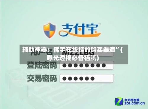 辅助神器：佛手在线挂的购买渠道”(曝光透视必备猫腻)-第2张图片