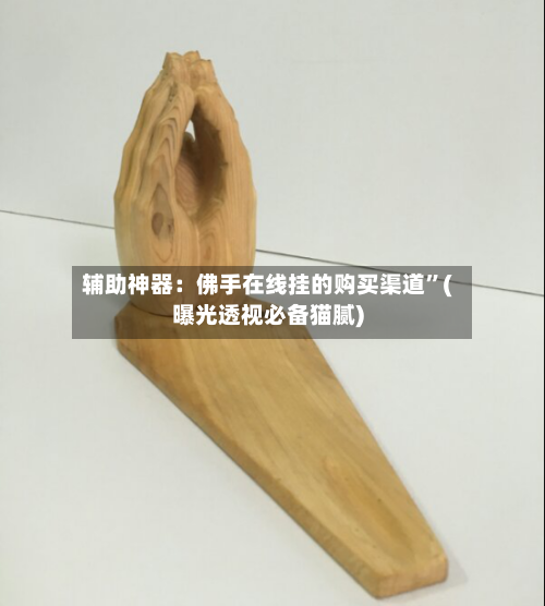 辅助神器：佛手在线挂的购买渠道”(曝光透视必备猫腻)-第3张图片