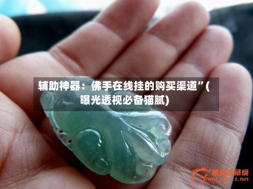 辅助神器：佛手在线挂的购买渠道	”(曝光透视必备猫腻)-第1张图片