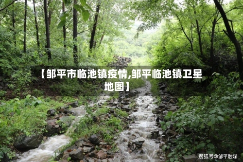 【邹平市临池镇疫情,邹平临池镇卫星地图】-第3张图片