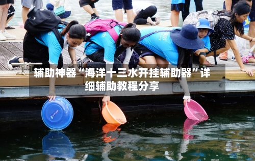 辅助神器“海洋十三水开挂辅助器	”详细辅助教程分享-第2张图片