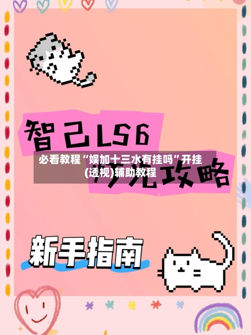 必看教程“娱加十三水有挂吗”开挂(透视)辅助教程-第2张图片