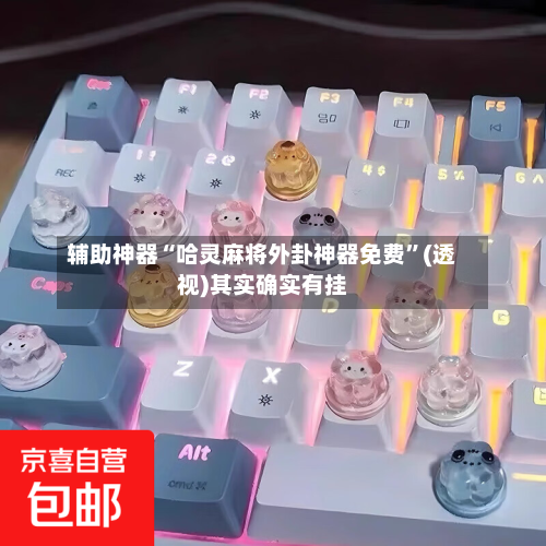 辅助神器“哈灵麻将外卦神器免费”(透视)其实确实有挂-第3张图片
