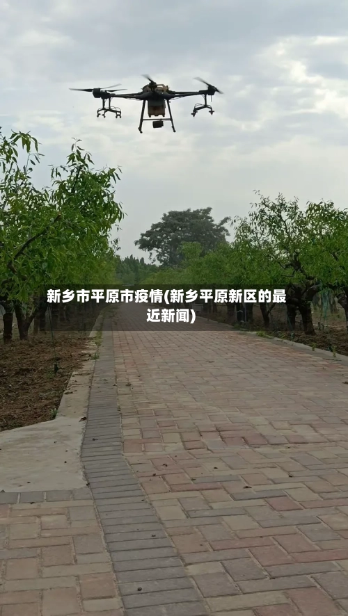 新乡市平原市疫情(新乡平原新区的最近新闻)-第1张图片