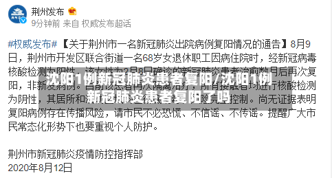 沈阳1例新冠肺炎患者复阳/沈阳1例新冠肺炎患者复阳了吗-第1张图片
