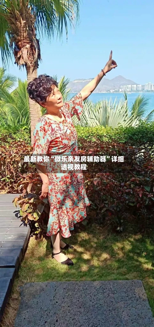 最新教你“微乐亲友房辅助器”详细透视教程-第1张图片