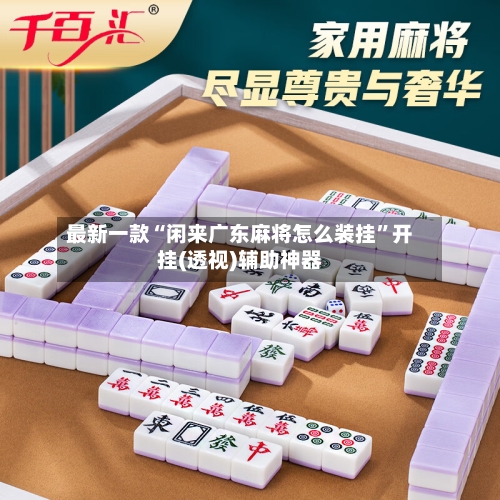 最新一款“闲来广东麻将怎么装挂	”开挂(透视)辅助神器-第2张图片