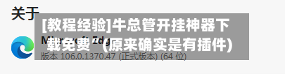 [教程经验]牛总管开挂神器下载免费”(原来确实是有插件)-第3张图片