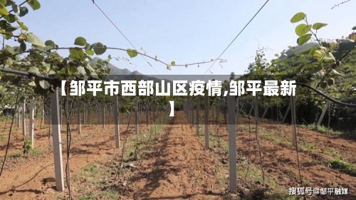 【邹平市西部山区疫情,邹平最新】-第1张图片
