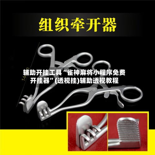辅助开挂工具“雀神麻将小程序免费开挂器”(透视挂)辅助透视教程-第3张图片