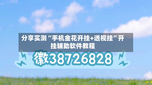 分享实测“手机金花开挂+透视挂”开挂辅助软件教程-第2张图片