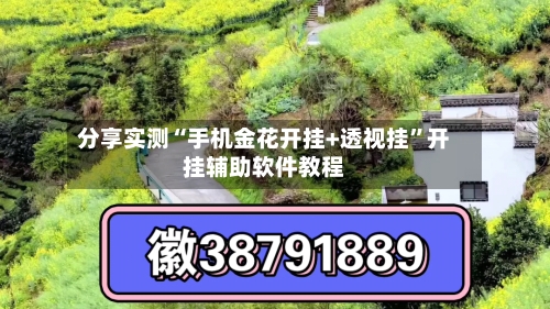 分享实测“手机金花开挂+透视挂	”开挂辅助软件教程-第1张图片