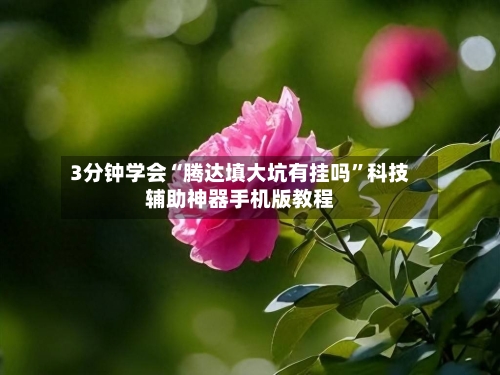 3分钟学会“腾达填大坑有挂吗”科技辅助神器手机版教程-第3张图片
