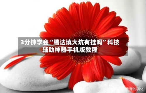 3分钟学会“腾达填大坑有挂吗”科技辅助神器手机版教程-第1张图片