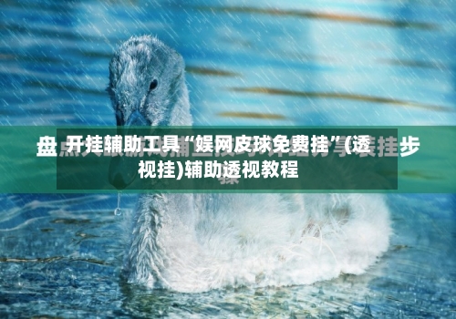 开挂辅助工具“娱网皮球免费挂”(透视挂)辅助透视教程-第1张图片