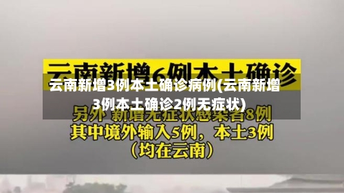 云南新增3例本土确诊病例(云南新增3例本土确诊2例无症状)-第1张图片